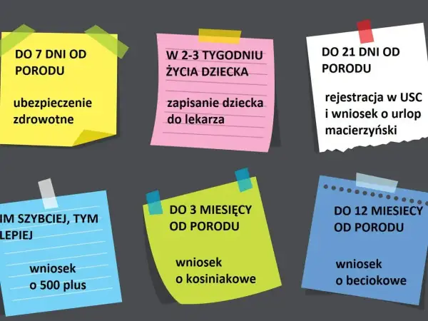 Terminy formalności po porodzie: ubezpieczenie, rejestracja dziecka, urlop macierzyński, wniosek o 500+, kosiniakowe, beciokowe. Czy jest obowiązek meldunku? Nie ma go na liście.